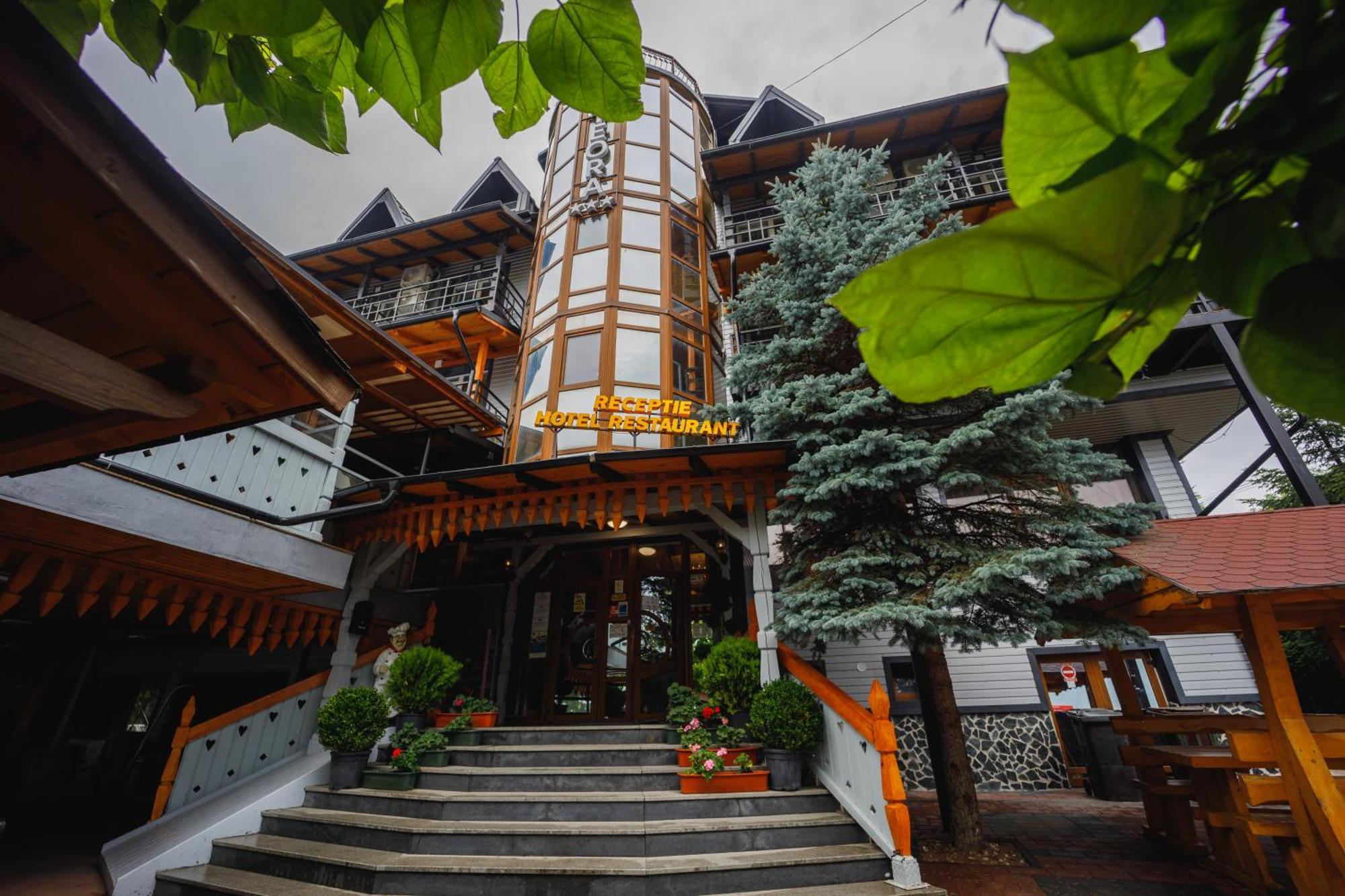 Pensiunea Meteora Suceava Ngoại thất bức ảnh